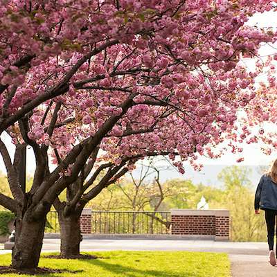 Bucknell University