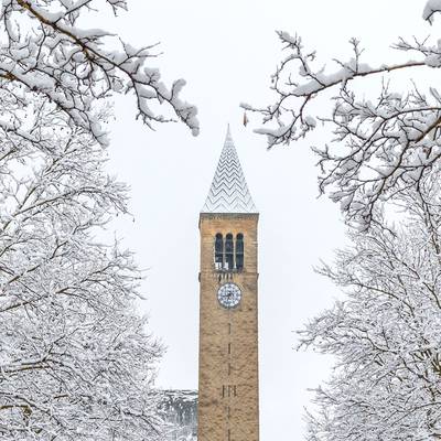 Cornell University