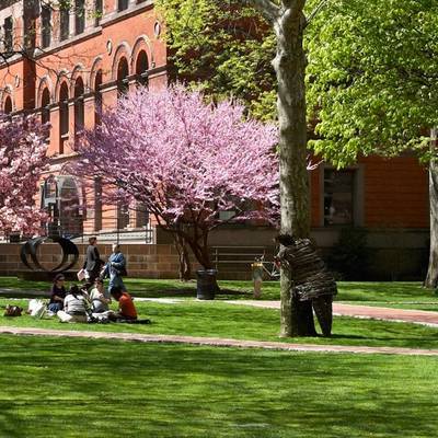 Pratt Institute