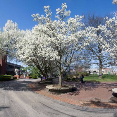 Southern Illinois University Edwardsville