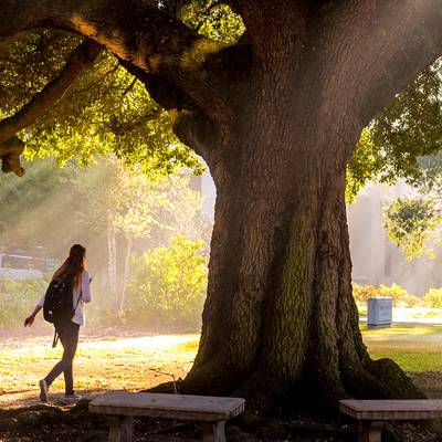 Tulane University