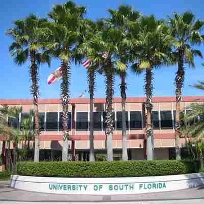 University of South Florida