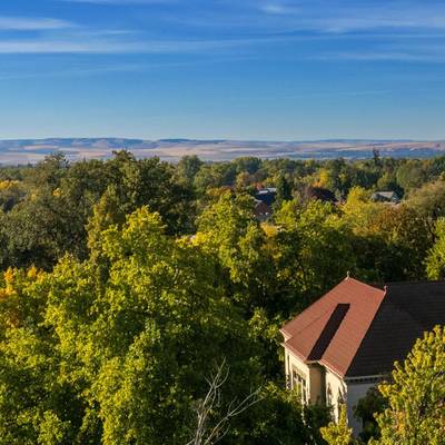 Whitman College