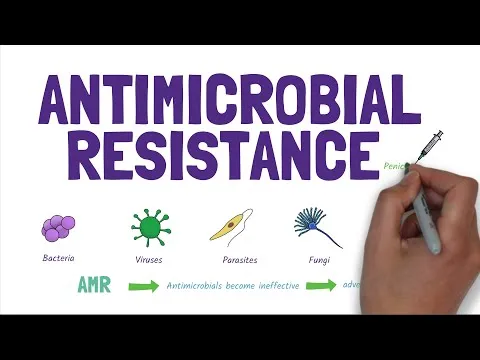 antimicrobial-resistance-amr-stopping-the-rise-of-superbugs-1107