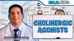 autonomic-pharmacology-cholinergic-agonists-12929