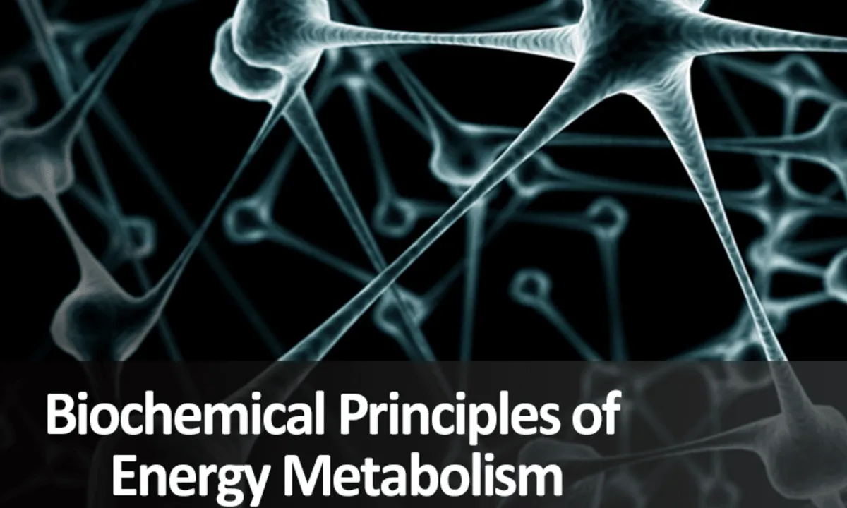 biochemical-principles-of-energy-metabolism-2156