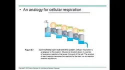 biochemistry-2155