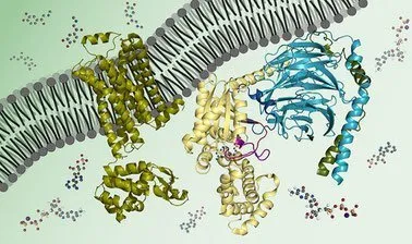 biochemistry-biomolecules-methods-and-mechanisms-2158