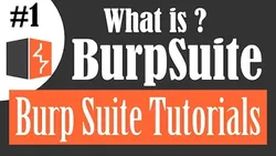 burpsuite-basics-tutorials-2566