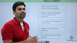 cobol-online-training-3860