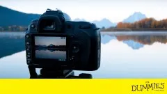 digital-slr-cameras-photography-for-dummies-video-training-5342