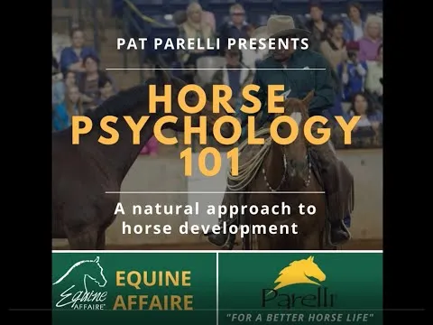 equine-affaire-educational-program-pat-parelli-on-horse-psychology-101-8755