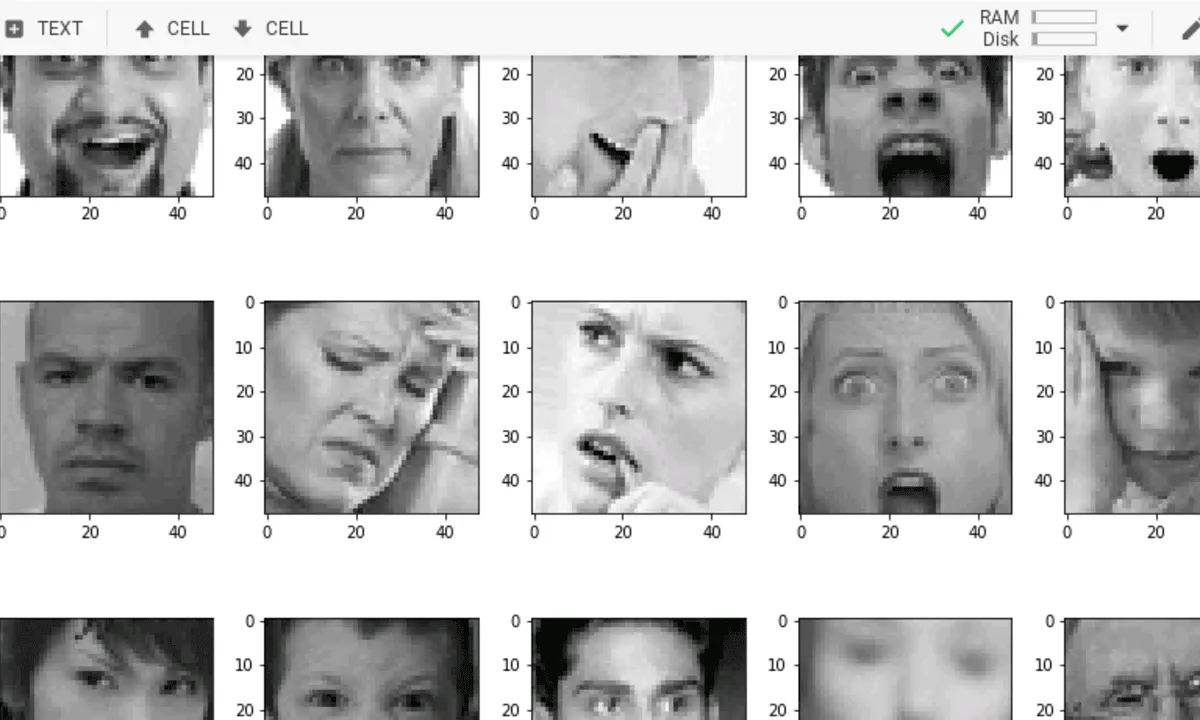 facial-expression-recognition-with-keras-9903