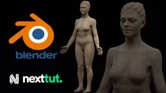 female-anatomy-sculpting-in-blender-course-5364