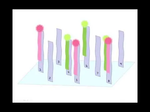 functional-genomics-part-1-7523