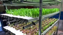 future-farms-understanding-growlights-for-hydroponics-9006