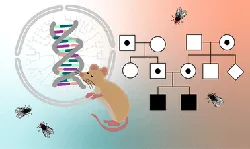 genetics-the-fundamentals-7782