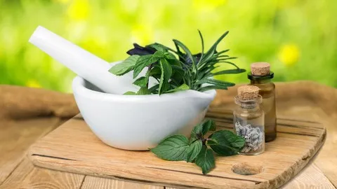 herbalism-introduction-medicine-making-course-8607