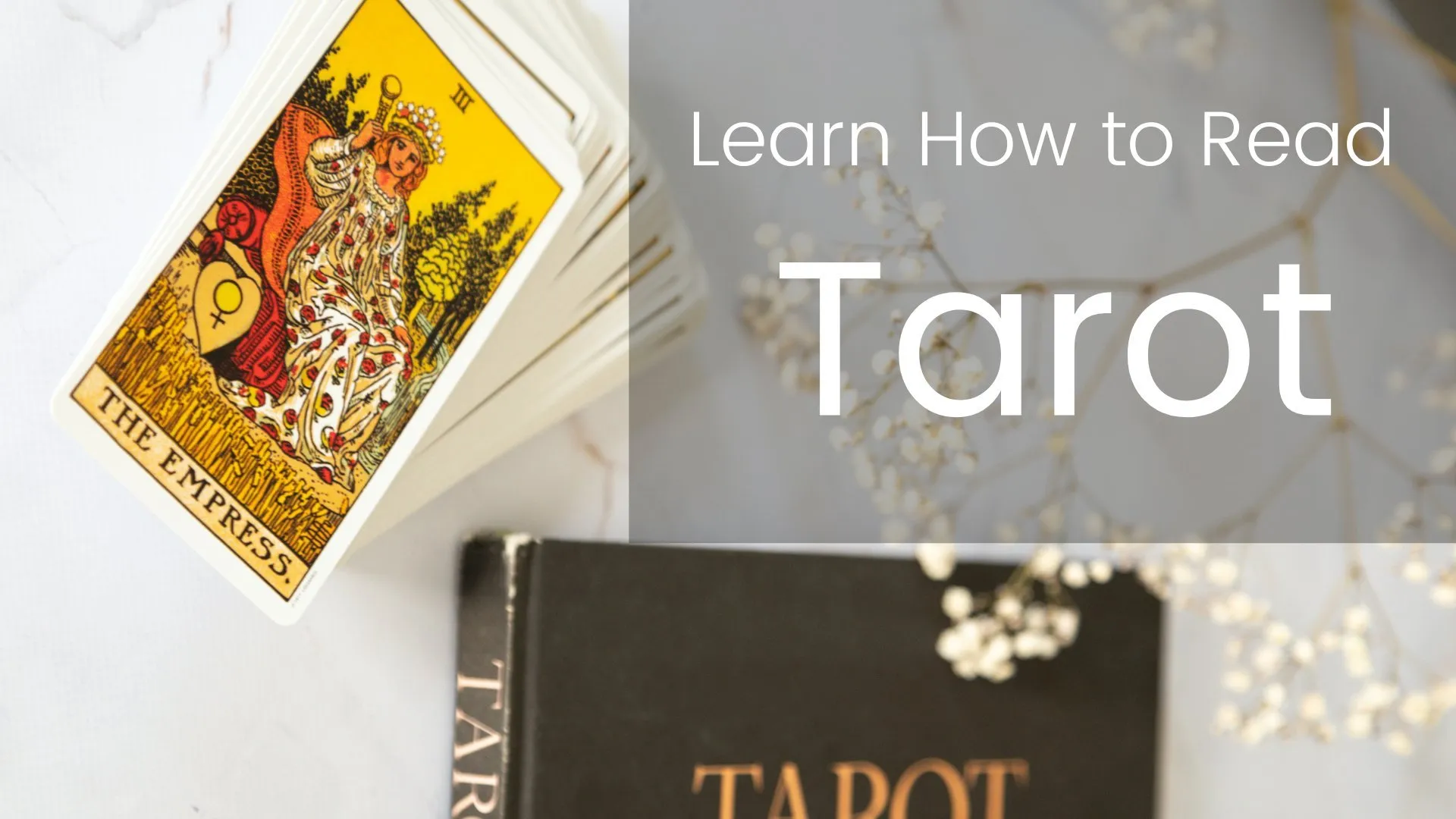 learn-how-to-read-tarot-16720