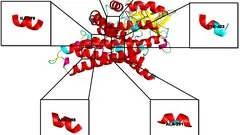 learn-molecular-dynamics-from-scratch-10899