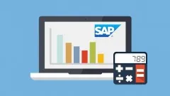 learn-sap-financial-accounting-online-training-15103