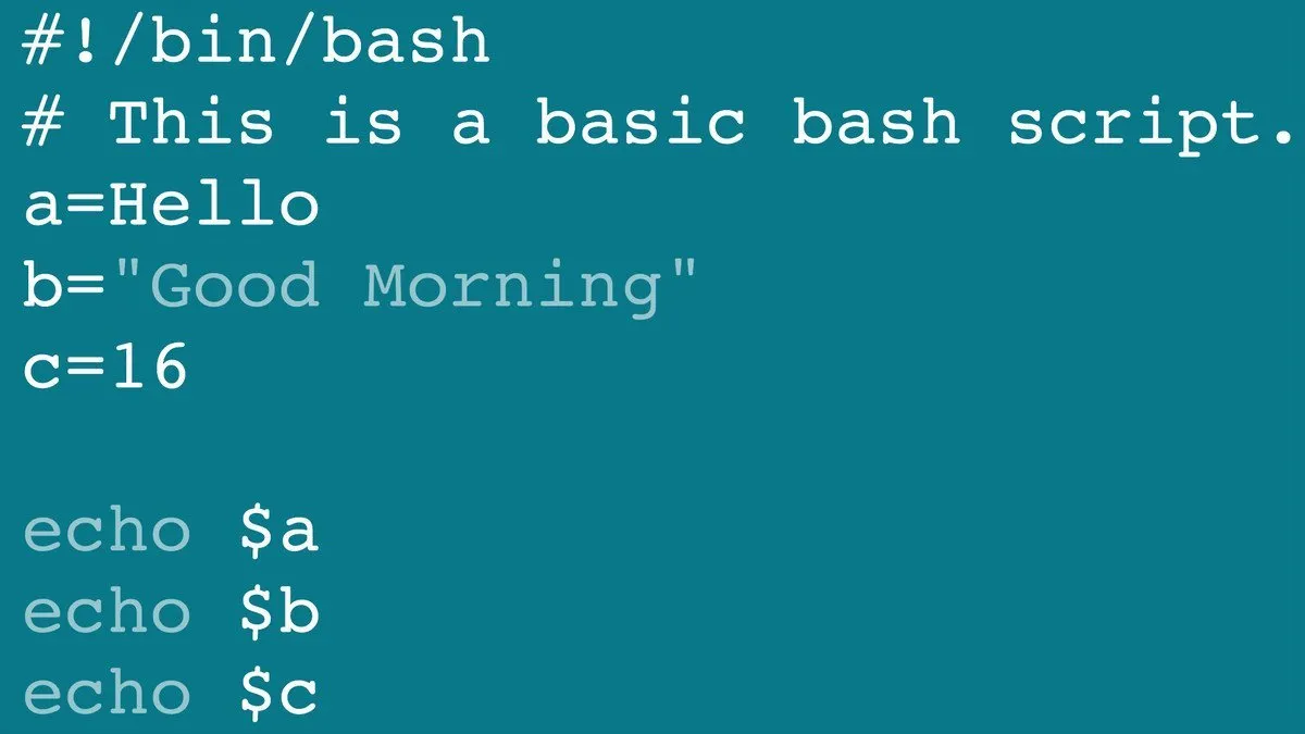 learning-bash-scripting-2013-2024