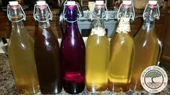 make-your-own-kombucha-6844