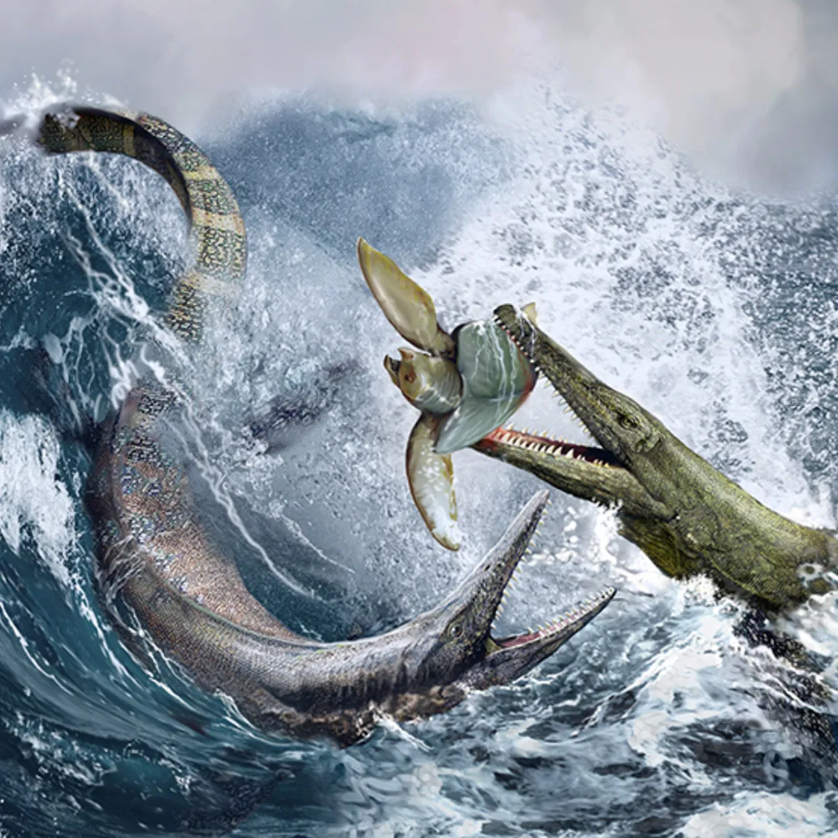 paleontology-ancient-marine-reptiles-12525