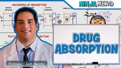 pharmacokinetics-drug-absorption-12933