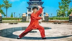 tai-chi-qi-gong-moves-for-beginners-for-energy-arthritis-7185