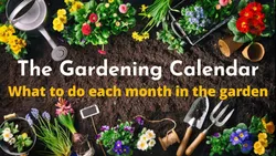 the-gardening-calendar-what-to-do-each-month-in-the-garden-7687