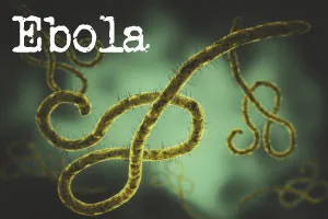 understanding-the-ebola-virus-8511