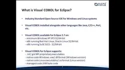 visual-cobol-for-visual-studio-in-a-nutshell-3857