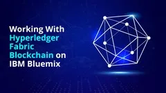 working-with-hyperledger-fabric-blockchain-on-ibm-bluemix-9023