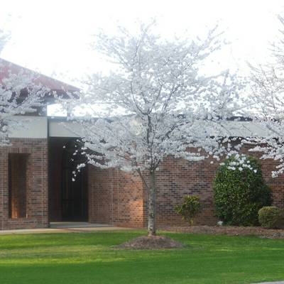 Fayetteville Academy