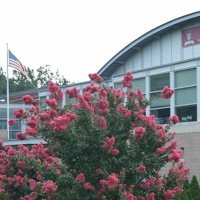 St. Anselm's Abbey School