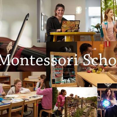 The Montessori School of Raleigh