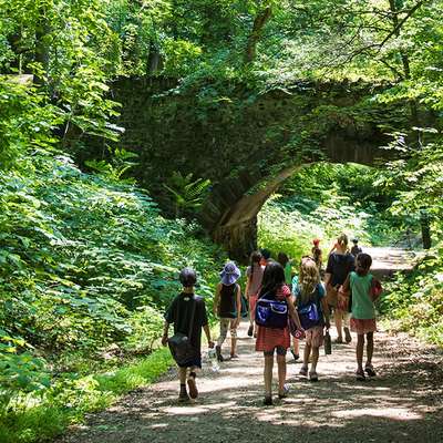 The Waldorf School of Philadelphia